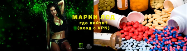 a pvp Алзамай